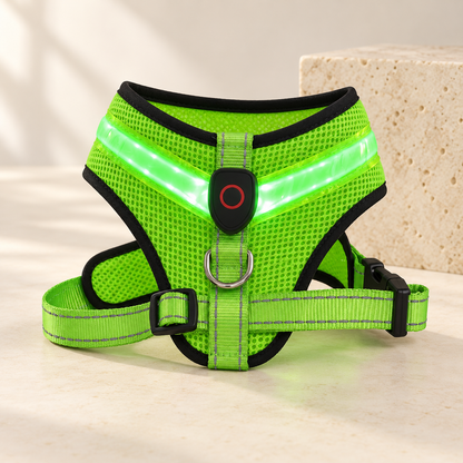 Pettorina Luminosa USB per Cani